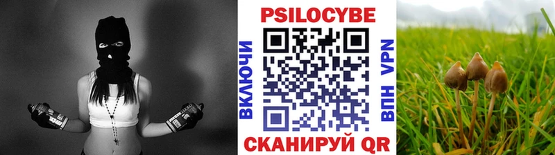 купить закладку маркетплейс какой сайт Псилоцибиновые грибы мухоморы Курлово