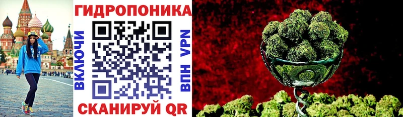 kraken вход  Курлово  МАРИХУАНА марихуана 